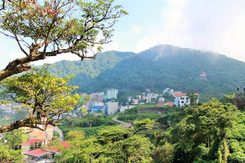 Tour du lịch Tam Đảo 1 ngày