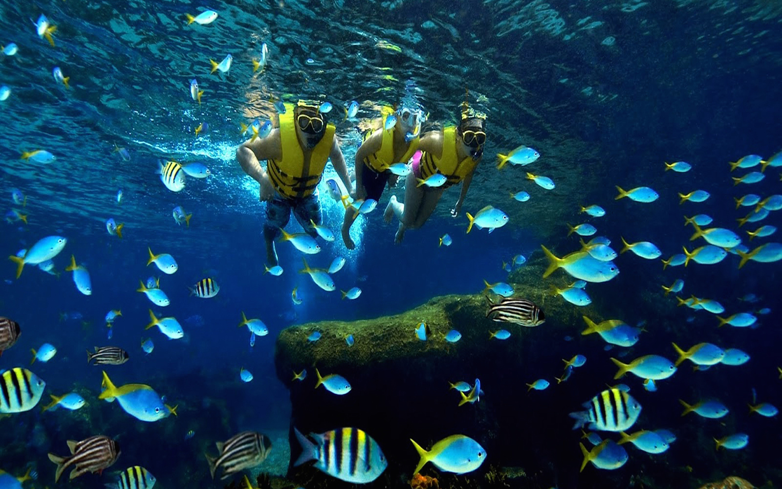 Vinpearl Land Nha Trang