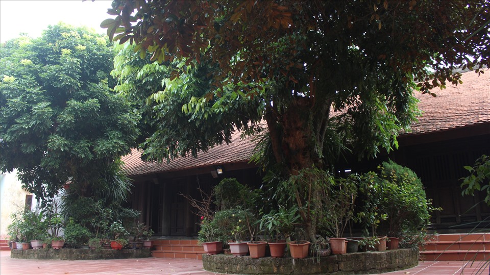 Về Hà Nam đừng quên ghé thăm Nhà gỗ Nguyễn Khuyến