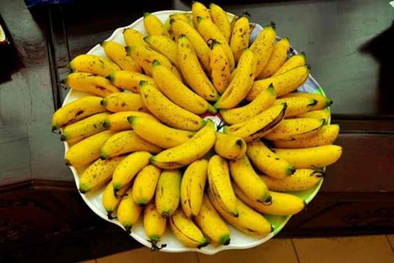 Về Hà Nam thưởng thức đặc sản chuối ngự Đại Hoàng