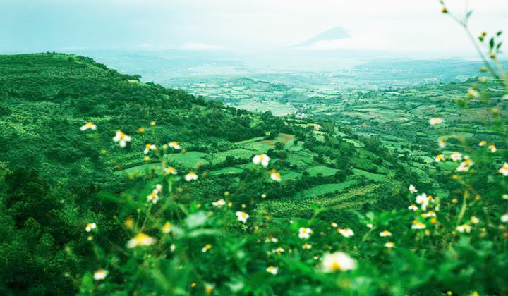 kinh nghiệm phượt phú yên