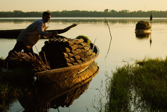 Đầm Trà Ổ Đầm Trà Ổ