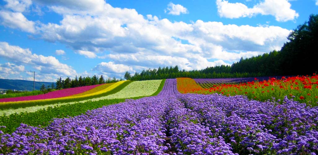 Tour du lịch Nha Trang Đà Lạt - 4 Ngày 3 Đêm