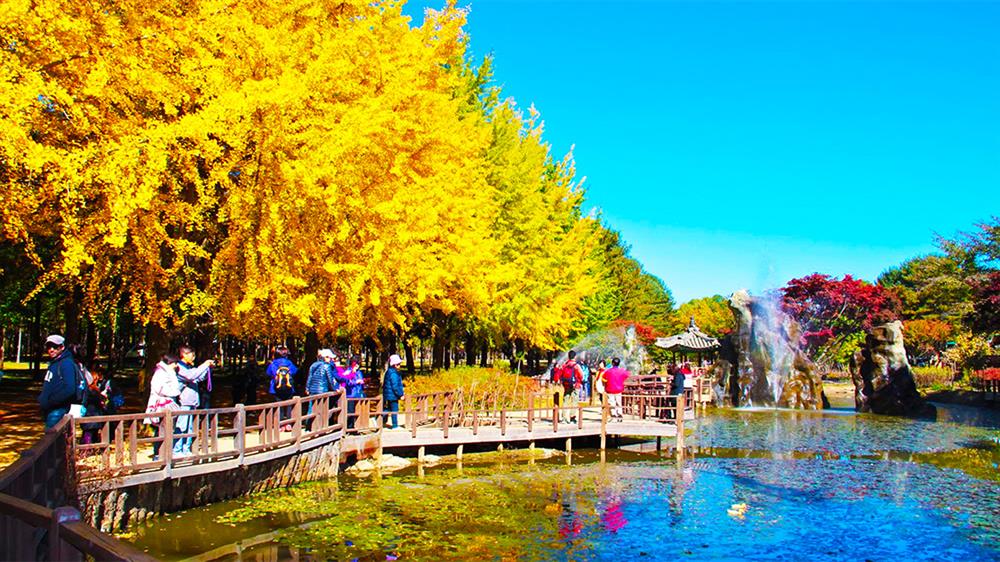 Du lịch Hàn Quốc – Seoul – Nami – Cheju – Everland 6 ngày 5 đêm Du lịch Hàn Quốc – Seoul – Nami – Cheju – Everland 6 ngày 5 đêm