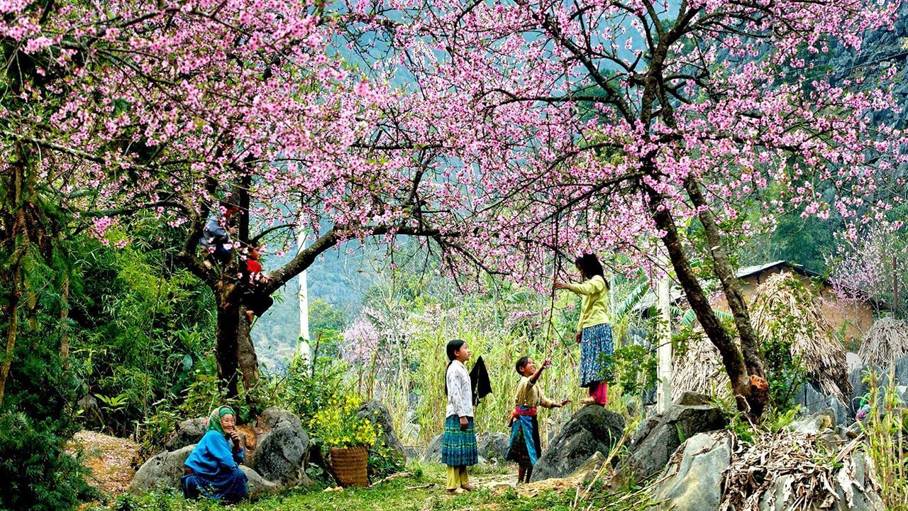 Vùng Tây Bắc gồm 6 tỉnh: Lào Cai, Lai Châu, Điện Biên, Sơn La, Hòa Bình, Yên Bái Vùng Tây Bắc gồm 6 tỉnh: Lào Cai, Lai Châu, Điện Biên, Sơn La, Hòa Bình, Yên Bái