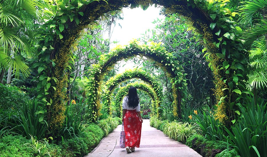 Botanic Gardens
