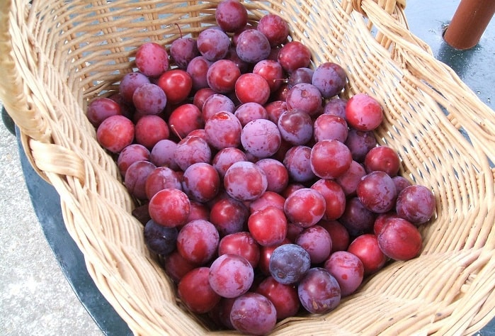 đặc sản ngon ở Sapa