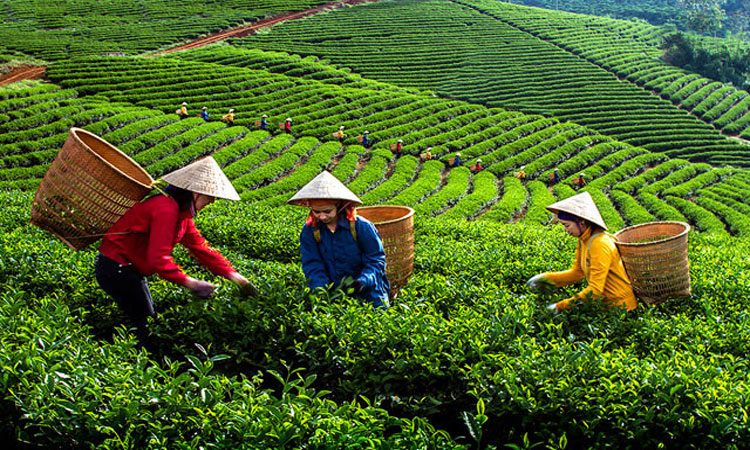 khám phá Sơn La khám phá Sơn La