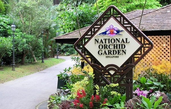 Vườn thực vật BOTANIC GARDEN Vườn thực vật BOTANIC GARDEN
